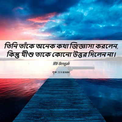 Picture 06 - লূক 23:9 BENIRV - তিনি তাঁকে অনেক - Bible Verse Picture