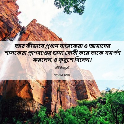 Picture 06 - লূক 24:20 BENIRV - আর কীভাবে প্রধান - Bible Verse Picture