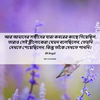 Picture 06 - লূক 24:24 BENIRV - আর আমাদের - Bible Verse Picture