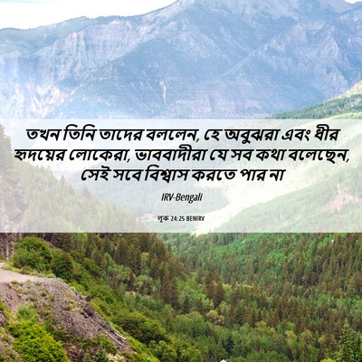Picture 06 - লূক 24:25 BENIRV - তখন তিনি তাদের - Bible Verse Picture