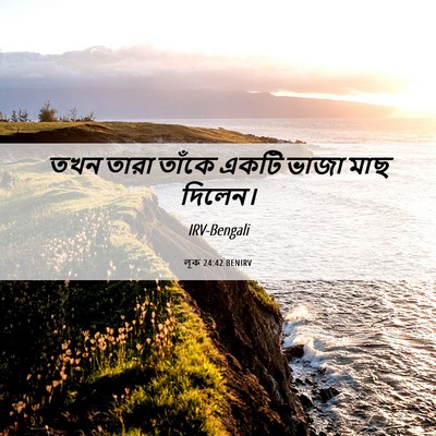 Picture 06 - লূক 24:42 BENIRV - তখন তারা তাঁকে - Bible Verse Picture