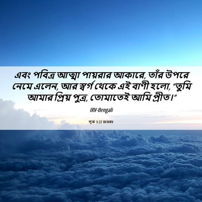 Picture 06 - লূক 3:22 BENIRV - এবং পবিত্র আত্মা - Bible Verse Picture