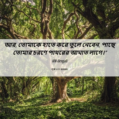 Picture 06 - লূক 4:11 BENIRV - আর, তোমাকে হাতে করে - Bible Verse Picture