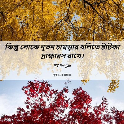 Picture 06 - লূক 5:38 BENIRV - কিন্তু লোকে নূতন - Bible Verse Picture