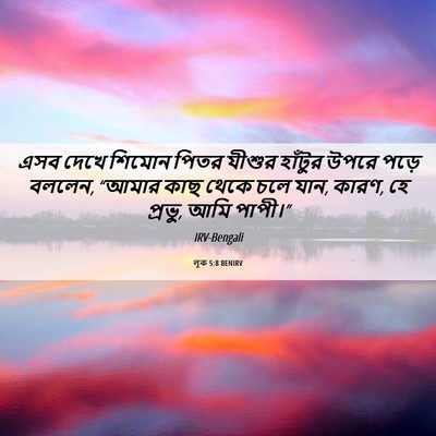 Picture 06 - লূক 5:8 BENIRV - এসব দেখে শিমোন - Bible Verse Picture