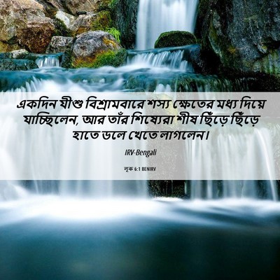 Picture 06 - লূক 6:1 BENIRV - একদিন যীশু - Bible Verse Picture