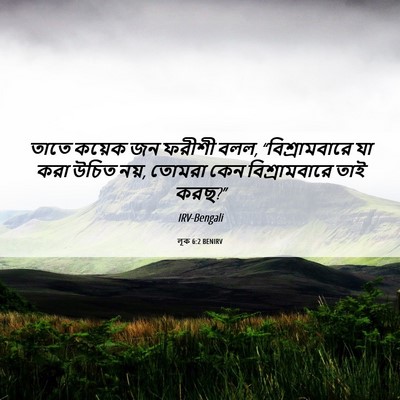 Picture 06 - লূক 6:2 BENIRV - তাতে কয়েক জন - Bible Verse Picture