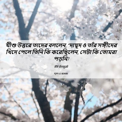 Picture 06 - লূক 6:3 BENIRV - যীশু উত্তরে তাদের - Bible Verse Picture