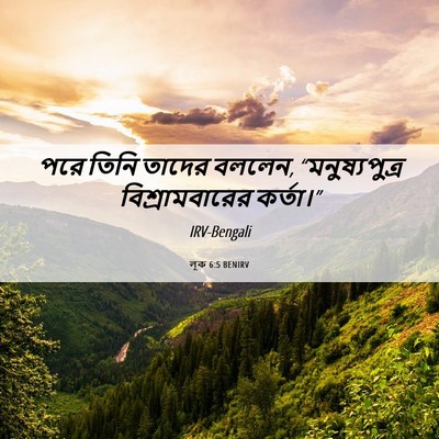 Picture 06 - লূক 6:5 BENIRV - পরে তিনি তাদের - Bible Verse Picture