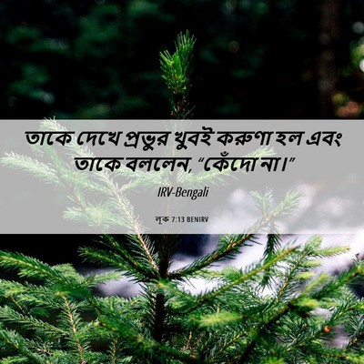 Picture 06 - লূক 7:13 BENIRV - তাকে দেখে প্রভুর - Bible Verse Picture