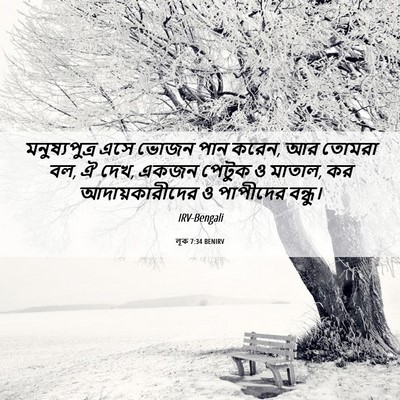 Picture 06 - লূক 7:34 BENIRV - মনুষ্যপুত্র এসে - Bible Verse Picture