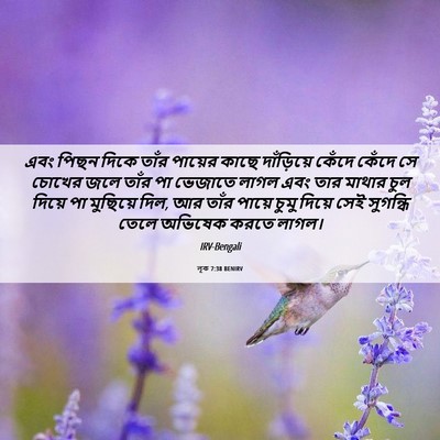Picture 06 - লূক 7:38 BENIRV - এবং পিছন দিকে তাঁর - Bible Verse Picture