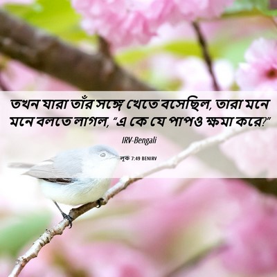 Picture 06 - লূক 7:49 BENIRV - তখন যারা তাঁর - Bible Verse Picture