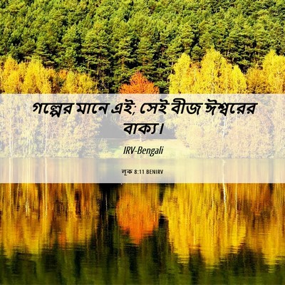 Picture 06 - লূক 8:11 BENIRV - গল্পের মানে এই; সেই - Bible Verse Picture