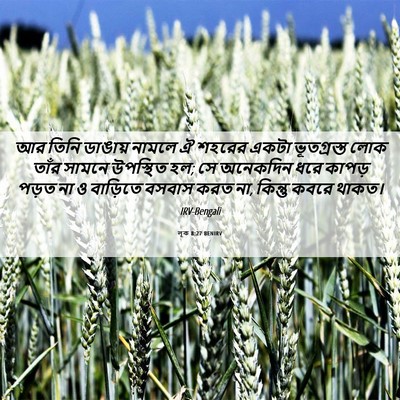 Picture 06 - লূক 8:27 BENIRV - আর তিনি ডাঙায় - Bible Verse Picture