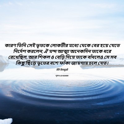 Picture 06 - লূক 8:29 BENIRV - কারণ তিনি সেই - Bible Verse Picture