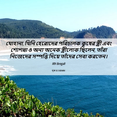 Picture 06 - লূক 8:3 BENIRV - যোহানা, যিনি - Bible Verse Picture