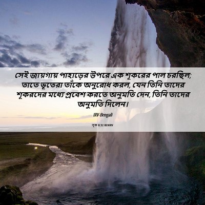 Picture 06 - লূক 8:32 BENIRV - সেই জায়গায় - Bible Verse Picture