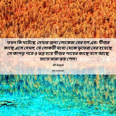 Picture 06 - লূক 8:35 BENIRV - তখন কি ঘটেছে, দেখার - Bible Verse Picture