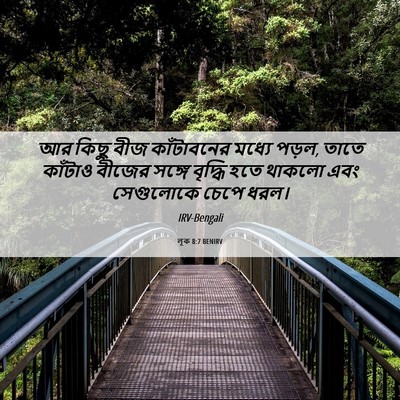 Picture 06 - লূক 8:7 BENIRV - আর কিছু বীজ - Bible Verse Picture