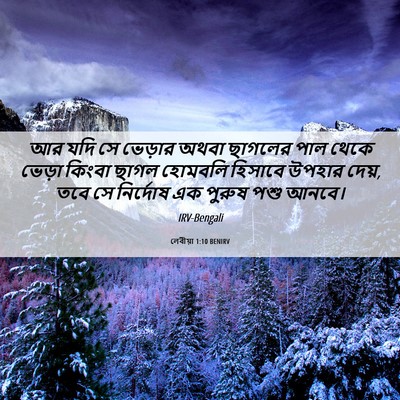 Picture 06 - লেবীয়া 1:10 BENIRV - আর যদি সে ভেড়ার - Bible Verse Picture