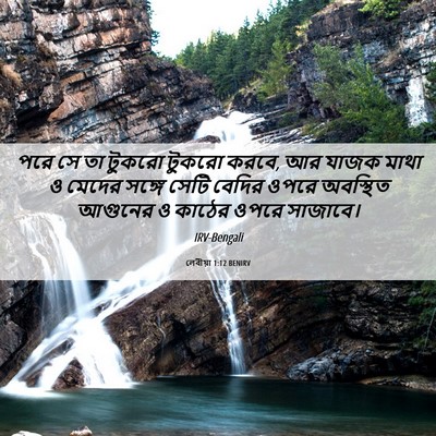 Picture 06 - লেবীয়া 1:12 BENIRV - পরে সে তা টুকরো - Bible Verse Picture