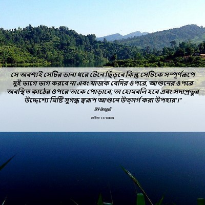 Picture 06 - লেবীয়া 1:17 BENIRV - সে অবশ্যই সেটির - Bible Verse Picture