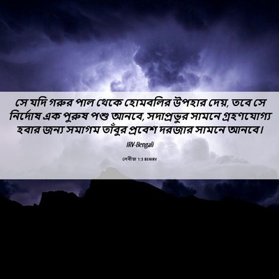 Picture 06 - লেবীয়া 1:3 BENIRV - সে যদি গরুর পাল - Bible Verse Picture