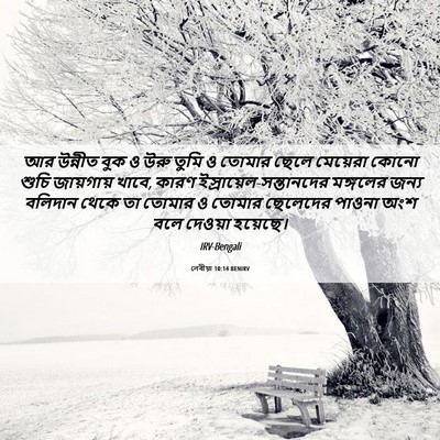 Picture 06 - লেবীয়া 10:14 BENIRV - আর উন্নীত বুক ও উরু - Bible Verse Picture
