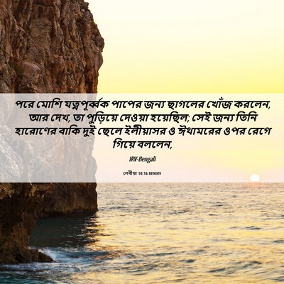 Picture 06 - লেবীয়া 10:16 BENIRV - পরে মোশি - Bible Verse Picture