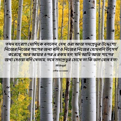 Picture 06 - লেবীয়া 10:19 BENIRV - তখন হারোণ মোশিকে - Bible Verse Picture