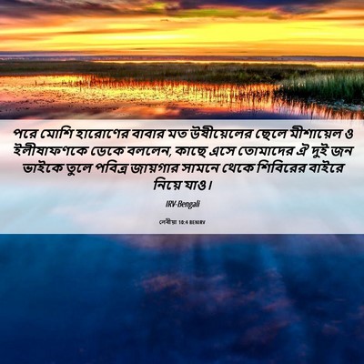 Picture 06 - লেবীয়া 10:4 BENIRV - পরে মোশি হারোণের - Bible Verse Picture
