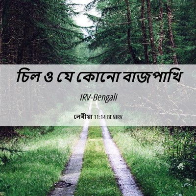 Picture 06 - লেবীয়া 11:14 BENIRV - চিল ও যে কোনো - Bible Verse Picture