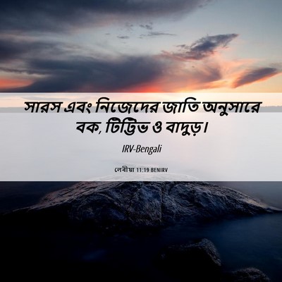 Picture 06 - লেবীয়া 11:19 BENIRV - সারস এবং নিজেদের - Bible Verse Picture