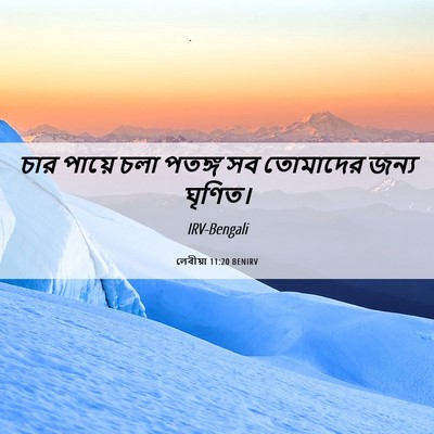 Picture 06 - লেবীয়া 11:20 BENIRV - চার পায়ে চলা - Bible Verse Picture