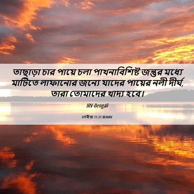 Picture 06 - লেবীয়া 11:21 BENIRV - তাছাড়া চার পায়ে - Bible Verse Picture