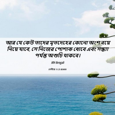 Picture 06 - লেবীয়া 11:25 BENIRV - আর যে কেউ তাদের - Bible Verse Picture
