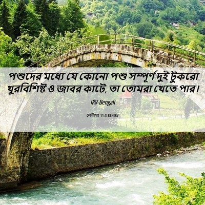 Picture 06 - লেবীয়া 11:3 BENIRV - পশুদের মধ্যে যে - Bible Verse Picture