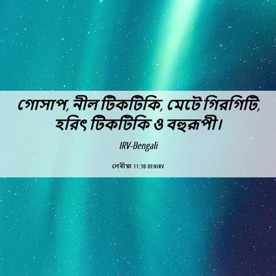 Picture 06 - লেবীয়া 11:30 BENIRV - গোসাপ, নীল টিকটিকি, - Bible Verse Picture