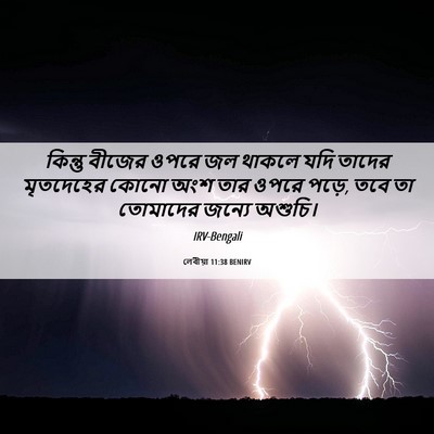 Picture 06 - লেবীয়া 11:38 BENIRV - কিন্তু বীজের ওপরে - Bible Verse Picture