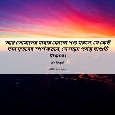 Picture 06 - লেবীয়া 11:39 BENIRV - আর তোমাদের খাবার - Bible Verse Picture