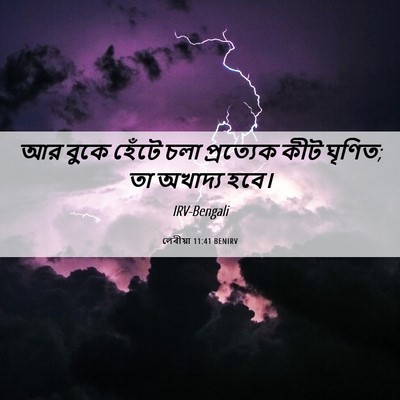 Picture 06 - লেবীয়া 11:41 BENIRV - আর বুকে হেঁটে চলা - Bible Verse Picture