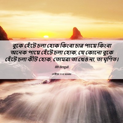Picture 06 - লেবীয়া 11:42 BENIRV - বুকে হেঁটে চলা হোক - Bible Verse Picture