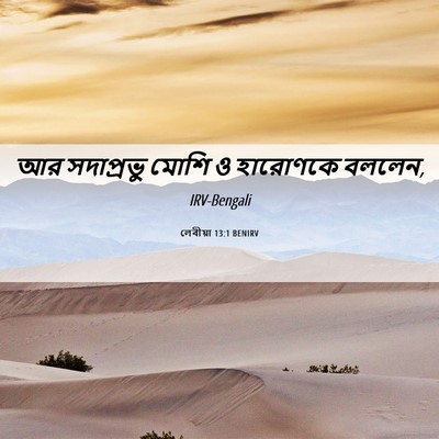 Picture 06 - লেবীয়া 13:1 BENIRV - আর সদাপ্রভু মোশি ও - Bible Verse Picture