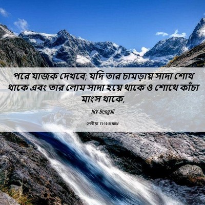 Picture 06 - লেবীয়া 13:10 BENIRV - পরে যাজক দেখবে; যদি - Bible Verse Picture