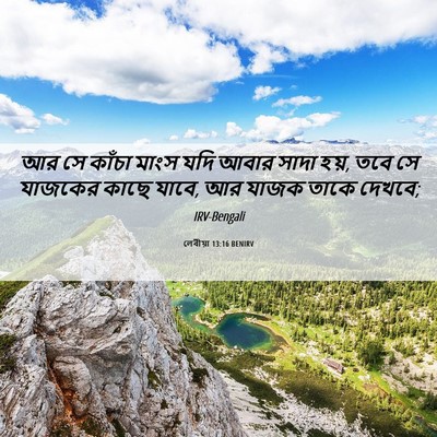 Picture 06 - লেবীয়া 13:16 BENIRV - আর সে কাঁচা মাংস - Bible Verse Picture
