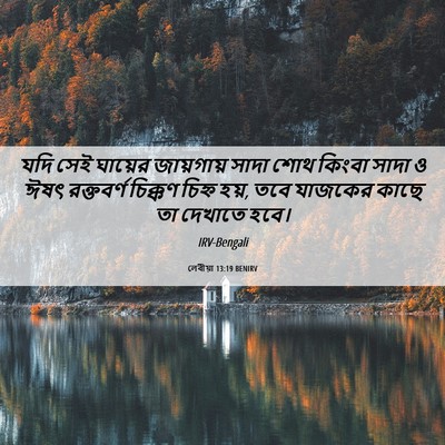Picture 06 - লেবীয়া 13:19 BENIRV - যদি সেই ঘায়ের - Bible Verse Picture