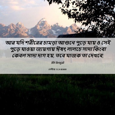 Picture 06 - লেবীয়া 13:24 BENIRV - আর যদি শরীরের - Bible Verse Picture