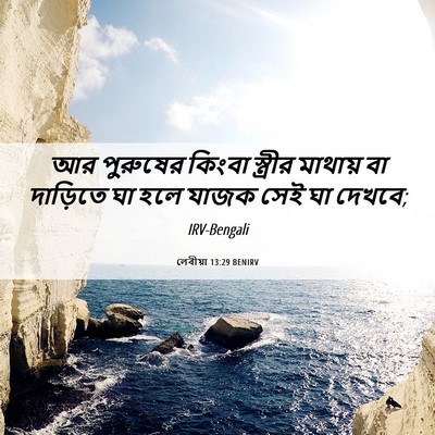 Picture 06 - লেবীয়া 13:29 BENIRV - আর পুরুষের কিংবা - Bible Verse Picture