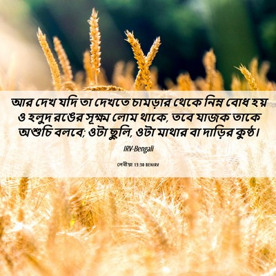 Picture 06 - লেবীয়া 13:30 BENIRV - আর দেখ যদি তা দেখতে - Bible Verse Picture